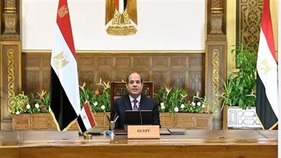  السيسي يوجه بتكثيف العمل بالمشروعات الجاري تنفيذها في مجال الطاقة المتجددة وإضافة قدرات جديدة للشبكة الكهربائية