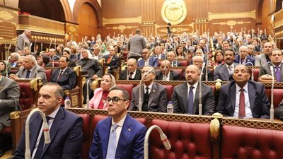  بعد النائب أحمد دياب، ضوابط رفع الحصانة عن نواب الشيوخ