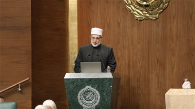 وكيل الأزهر: المجتمع الدولي عاجز عن وقف مأساة الشعب الفلسطيني‏ 