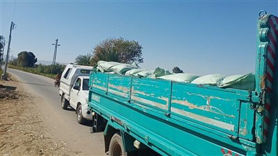 ضبط 4.600 طن دقيق بلدى مدعم قبل بيعها في السوق السوداء في الأقصر 