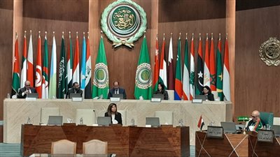 التضامن الاجتماعي تشارك في فعاليات النسخة الخامسة من الأسبوع العربي للتنمية المستدامة