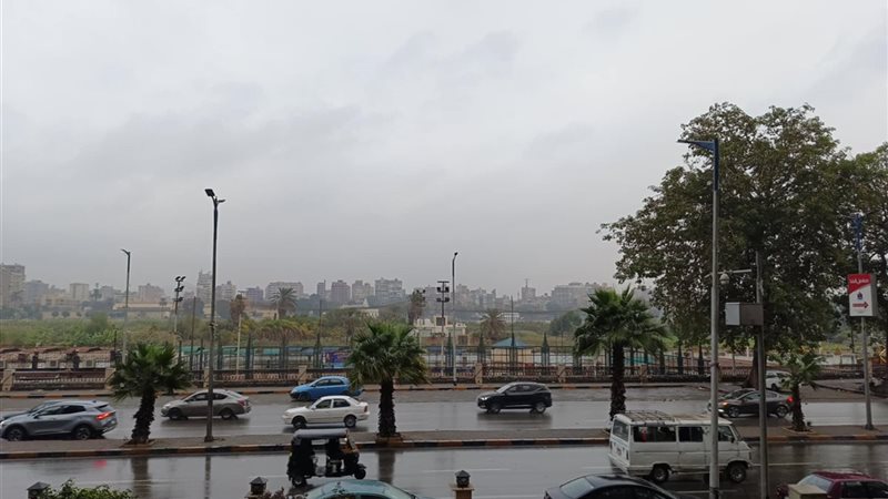 أمطار، فيتو