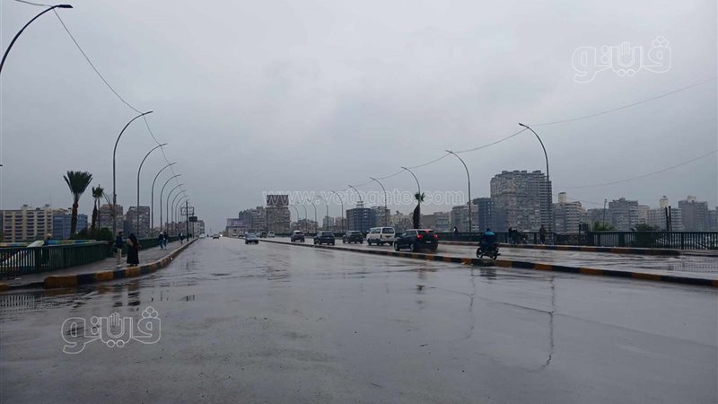 حالة الطقس غدا، فيتو