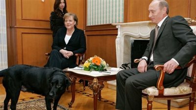 الخوف من كلب بوتين ومصافحة ترامب الوقحة، ميركل تتحدث عن أسرارها السياسية مع القادة