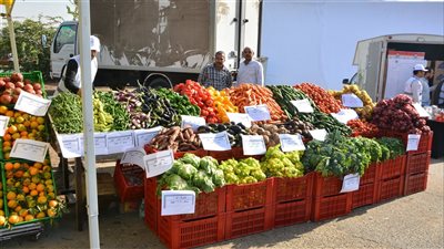 بتخفيضات كبيرة، موعد افتتاح أسواق اليوم الواحد بالجيزة