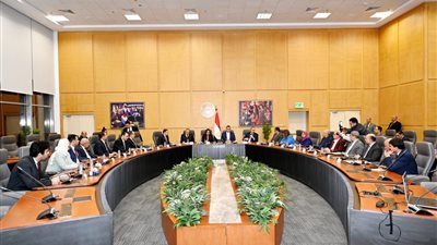 3 وزراء ومحافظ بورسعيد يبحثون مقترحات تنفيذ مشروعات سكنية لأهالي المحافظة