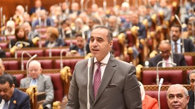 وزير الشئون النيابية يستعرض دلالة تعديل قانوني السفن والتجارة البحرية 