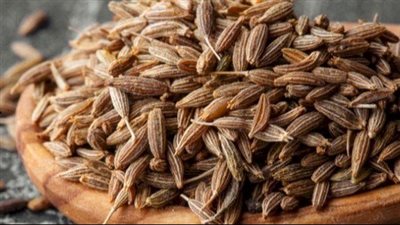 فوائد الكراوية، تعالج مشكلات المعدة وتعزز صحة الجهاز التنفسي 