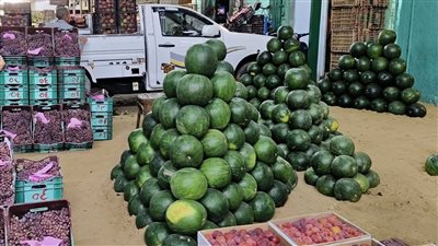 ارتفاع كبير في البطيخ، أسعار الفاكهة بسوق العبور اليوم