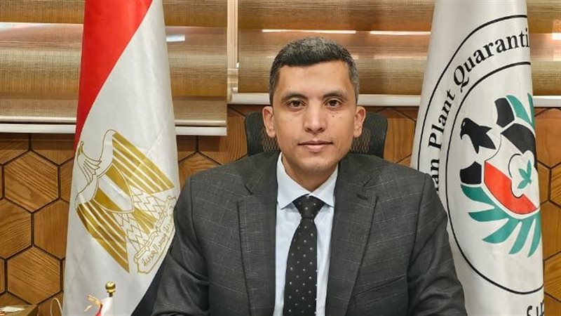 الدكتور محمد المنسي