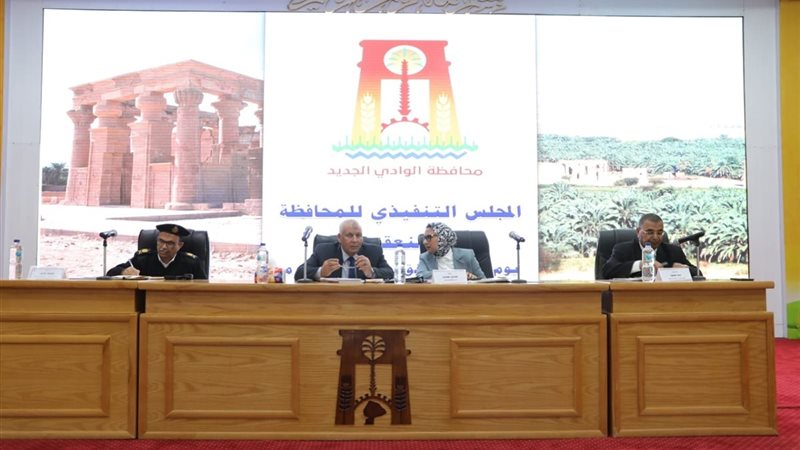 المجلس التنفيذي للوادي