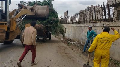 أبوالفتوح: رفع كافة تراكمات القمامة وتهذيب الأشجار بالزقازيق