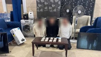 ضبط 8 لصوص لارتكاب جرائم سرقات الشقق والمواطنين فى القاهرة 