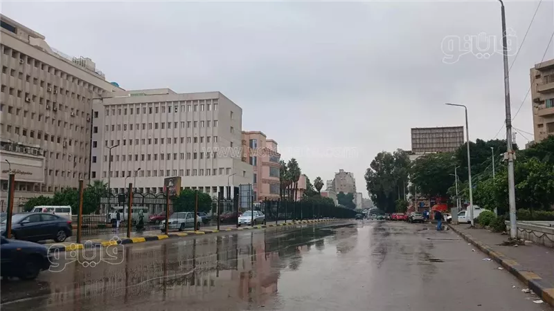 حالة الطقس غدا، فيتو