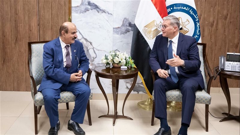  المهندس كريم بدوي