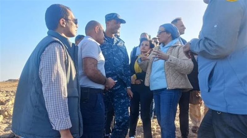 حادث شحوط سفينة شحن،