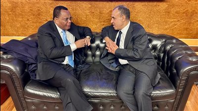 تفاصيل لقاء وزير الخارجية ونظيره الكونغولي على هامش زيارته إلى روما