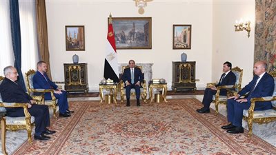  تفاصيل لقاء السيسي ورئيس اللجنة البارالمبية الدولية