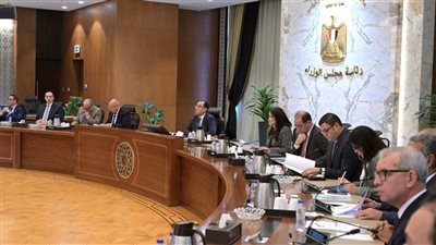 الحكومة توافق على طرح 12 مشروعا في مجال معالجة المياه والصرف الصحي وشبكات الكهرباء