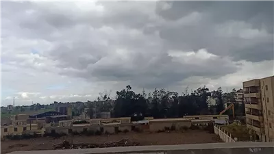 طقس الأسبوع المقبل، فرص ضعيفة لسقوط الأمطار على السواحل الشمالية والوجه البحري.. عودة الشبورة الصباحية على الطرق السريعة وتحذير من الرياح.. وسانت كاترين الأكثر برودة