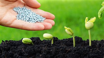 قفزة في سلفات النشادر وانخفاض اليوريا، تعرف على أسعار الأسمدة اليوم بالأسواق