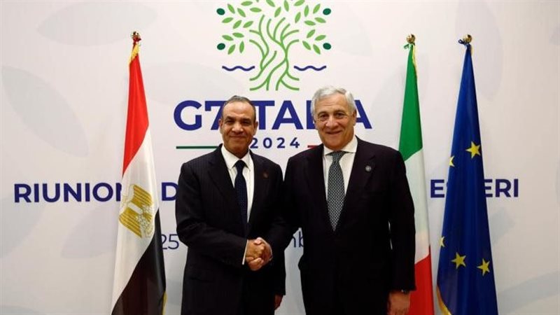 وزير الخارجية ونظيره