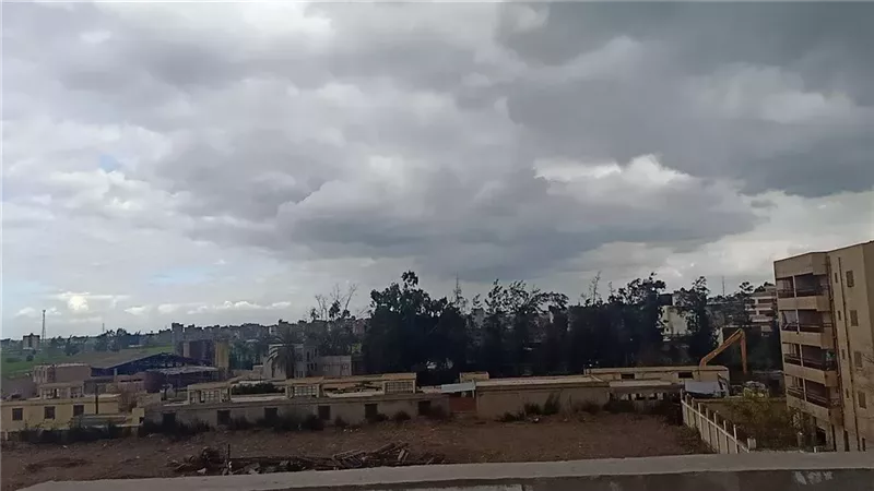 حالة الطقس غدا، فيتو