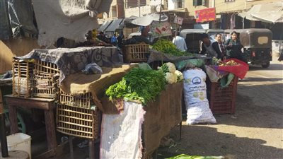 خبير تنمية محلية يكشف مفتاح حل أزمة الباعة الجائلين