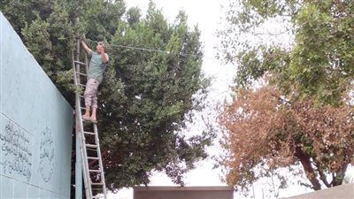 صيانة وتركيب كشافات جديدة للإنارة بمقابر وشوارع قرية النخيلة بأسيوط