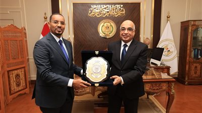 وزير العدل يلتقي نظيره الصومالي لبحث سبل التعاون القضائي 