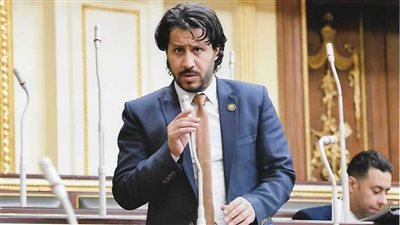 برلماني: المصالحة لا تنطبق على جماعة الإخوان غير الوطنية