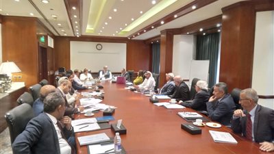 مجلس أمناء العربية لحقوق الإنسان يدعو الحكومات العربية للانضمام لدعوى جنوب أفريقيا ضد الكيان المحتل