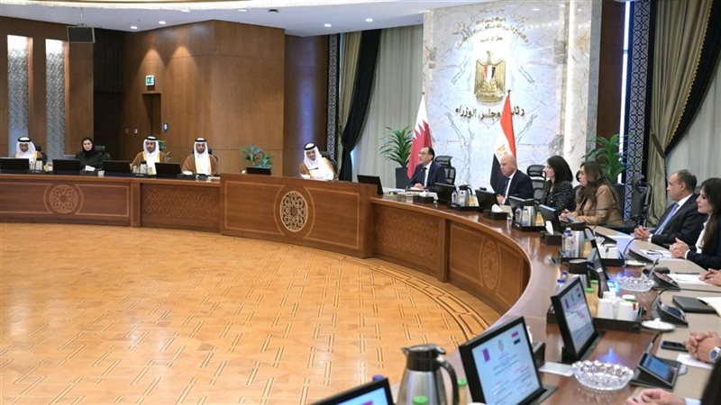 المباحثات المصرية