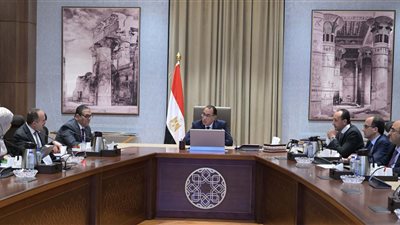 مدبولي يستعرض مع رئيس 