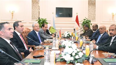 توافق برلماني بين مصر وجيبوتي على وحدة وسيادة دول القرن الأفريقي