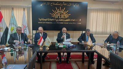 تأسيس أول مجلس نوعي للزيتون لزيادة الصادرات