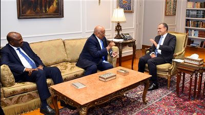 وزير الخارجية يبحث مع رئيس البرلمان الجيبوتي تعزيز التعاون المشترك (صور) 