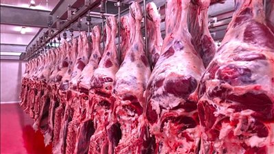  بزيادة تصل 22 جنيهًا، ارتفاع أسعار اللحوم اليوم في الأسواق