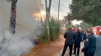 السيطرة على حريق بأرض زراعية فى مدينة السنطة بالغربية (صور)