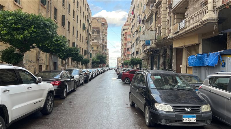 حالة الطقس غدا، فيتو