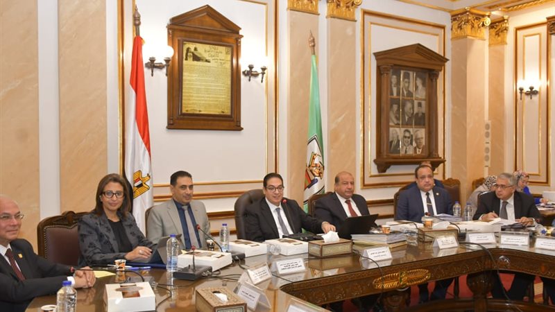 مجلس جامعة القاهرة