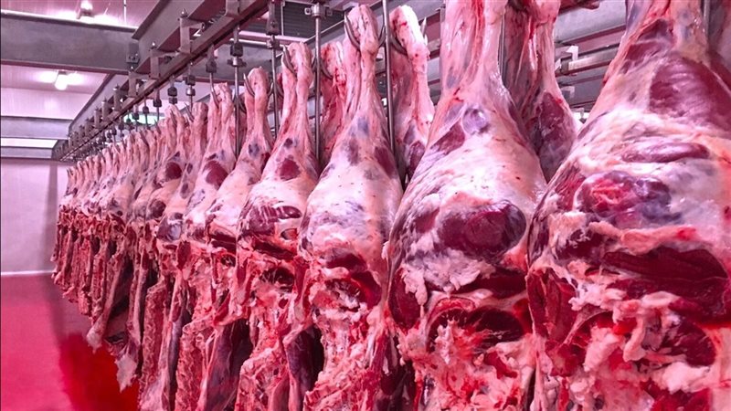 اسعار اللحوم اليوم