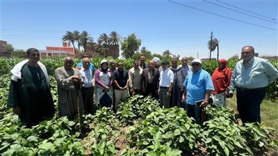 تنفيذ المرحلة الثانية لمشروع تحسين الزراعة الموجهة للسوق لصغار المزارعين 