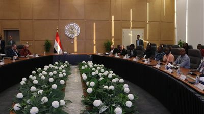 الكهرباء تحتفل بتخريج 39 متدربا إفريقيا على أنظمة الحماية في شبكات التوزيع