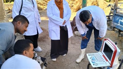 بيطري الأقصر تدشن قافلة مجانية بالطود (صور)