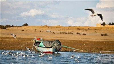 حالة الطقس غدا الجمعة 29-11-2024 في محافظة الفيوم 