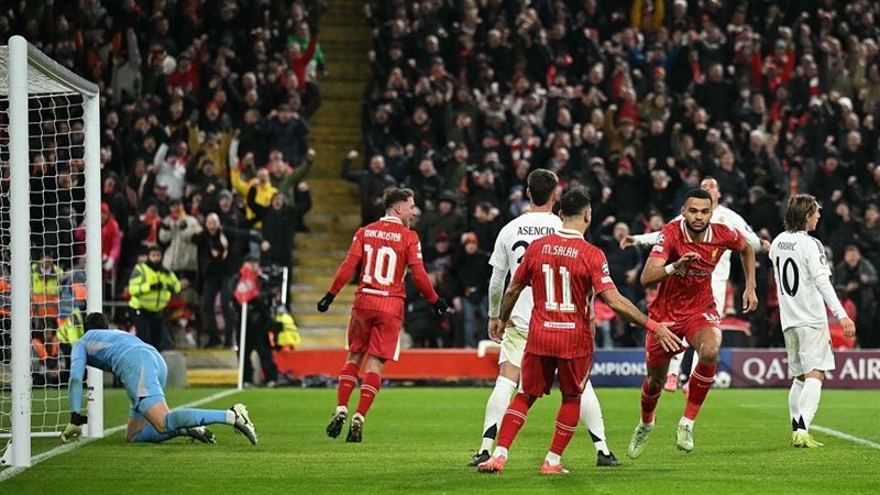 دوري أبطال أوروبا،