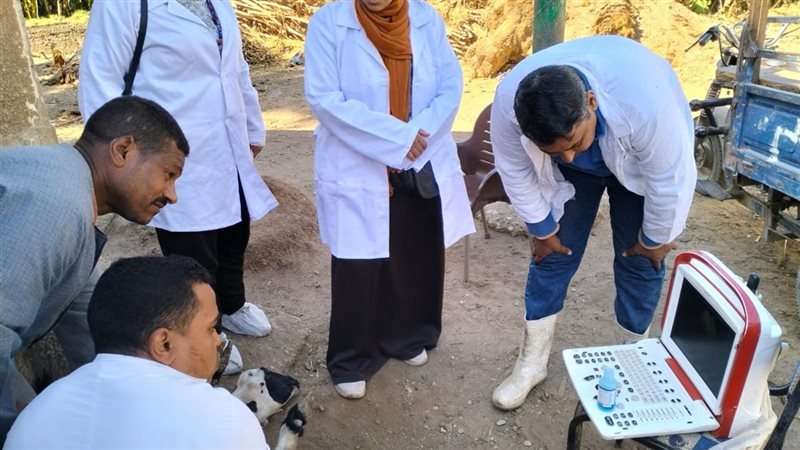 أثناء الحملات 