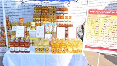 محافظ القاهرة: سوق اليوم الواحد سينعقد كل أسبوع بالأميرية