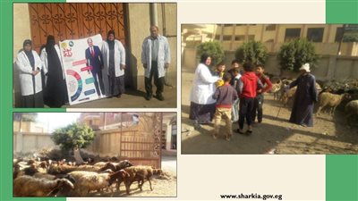 بيطري الشرقية تنظم قافلة مجانية في قرية مباشر بالإبراهيمية 